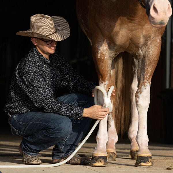Rehab and Recovery for Horses: A Guide to Getting Your Equine Partner Back on Track